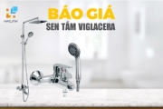 Báo giá sen tắm Viglacera năm 2024 mới nhất