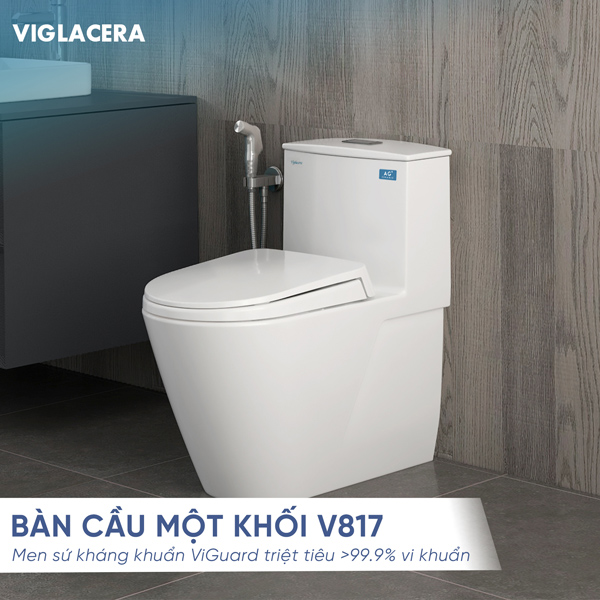 Ban cau 1 khoi V817